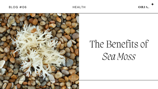 Sea Moss Benefits: Why Celebrities and Wellness Experts Swear by This Superfood